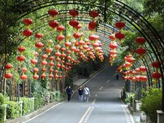 -大屏嶂森林公园