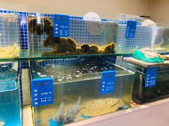 海鲜缸-味莊·青岛菜(云霄路店)