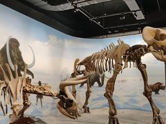 -辽宁古生物博物馆
