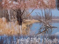 -野鸭湖国家湿地公园