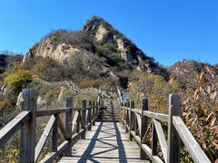 -大岭沟猕猴桃谷风景区