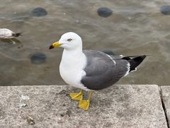 -星海广场