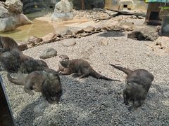 -昆明动物园