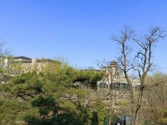 -莲花池公园