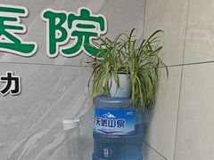 -半岛宠物医院24小时(白果林店)