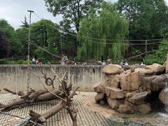 -西安秦岭野生动物园