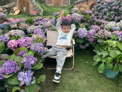 -HERRE·FARM 赫尔露营农场·团建聚会包场