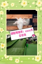 -可可天空农场(中大店)