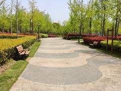 -黄兴公园