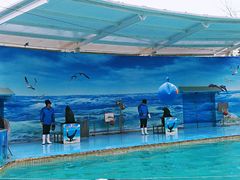 -西安秦岭野生动物园