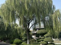 -济南国际园博园