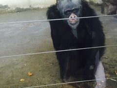 -新疆天山野生动物园