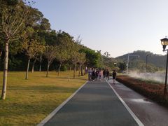 -野狸岛