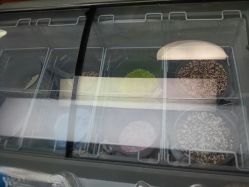 -Mini Melts 迷你美珠