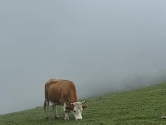 -灵山