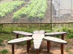 -前小桔亲子创意农场·草莓采摘·露营烧烤