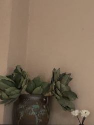 -香秀空间科技抗衰·美容中心