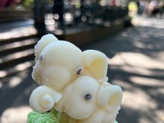 -野象谷景区