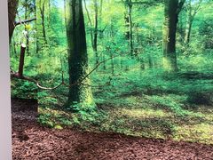 -极简口腔(总院)