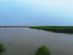 -南汇嘴观海公园