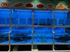 -聚丰园•湖鲜餐厅(阿红私房菜梅石路店)