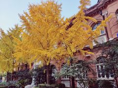 -复旦大学附属华山医院(总院)