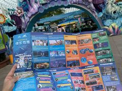 -海合安武汉极地海洋公园