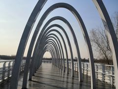 -大兴滨河森林公园