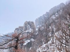 -泰山风景名胜区