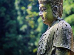 -武陵山森林公园