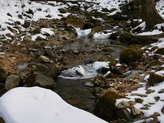 -秦岭风景区