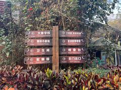 -野象谷景区
