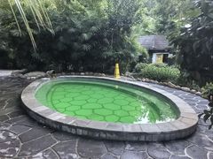 -融汇温泉