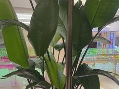 -旺顺阁鱼头泡饼(常营店)