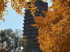 -玲珑塔公园