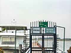 -莲花岛景区