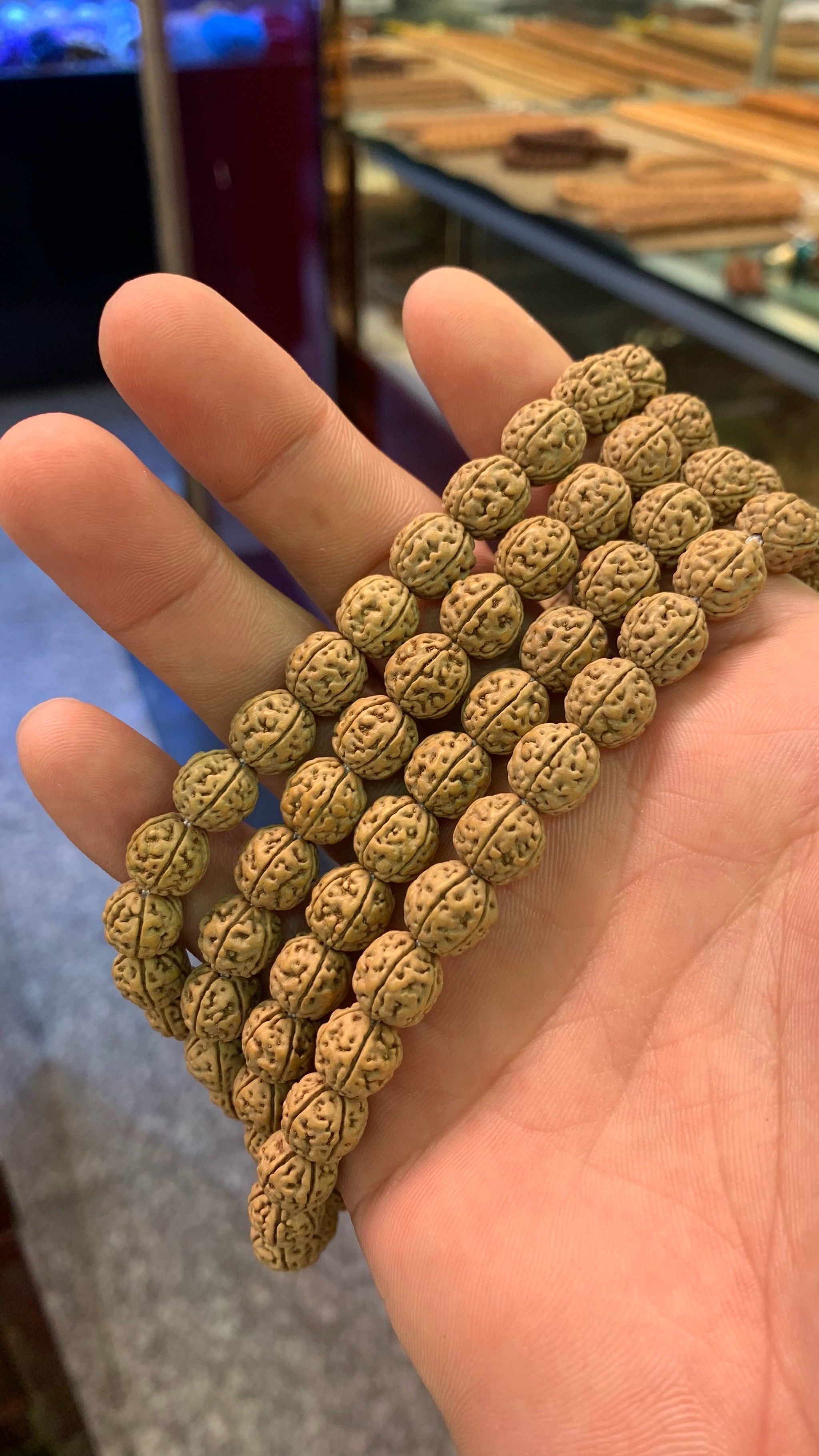 我的原桩盘龙