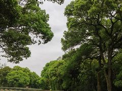 -西湖风景区十里琅珰-五云山