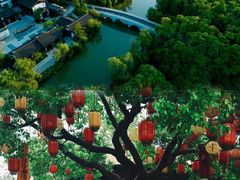 -同里国家湿地公园