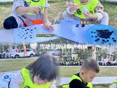 -美吉姆国际儿童教育中心(湛江招商花园城店)