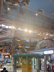 -卡通尼·Safari非洲探索乐园·生日会(金桥国际商业广场店)