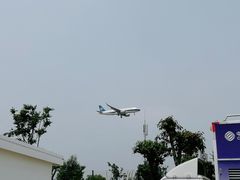 -空港花田景区