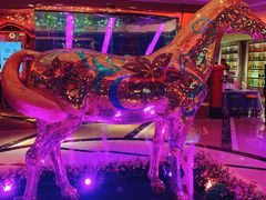 -纯K(打浦桥店)