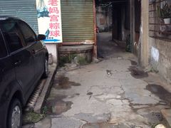 -老妈宫粽球