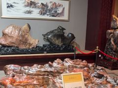-烟台自然博物馆