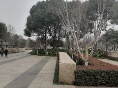 -青枫公园