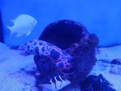 -海合安青岛极地海洋公园
