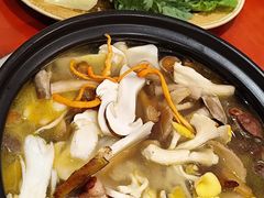 -菌之家·专业纯野生菌火锅·特色炒菌