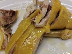 -强记湛江鸡饭店·二十七年老字号(拱北店)