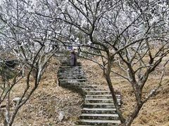 -广州市流溪河国家森林公园
